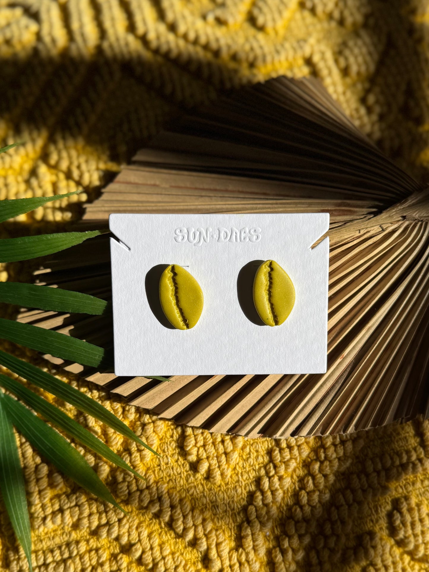 Cowrie Studs