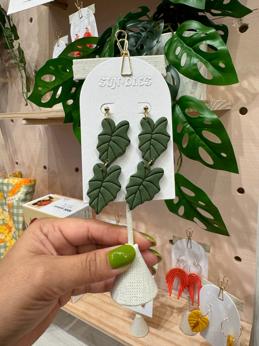 Alocasia Dangles